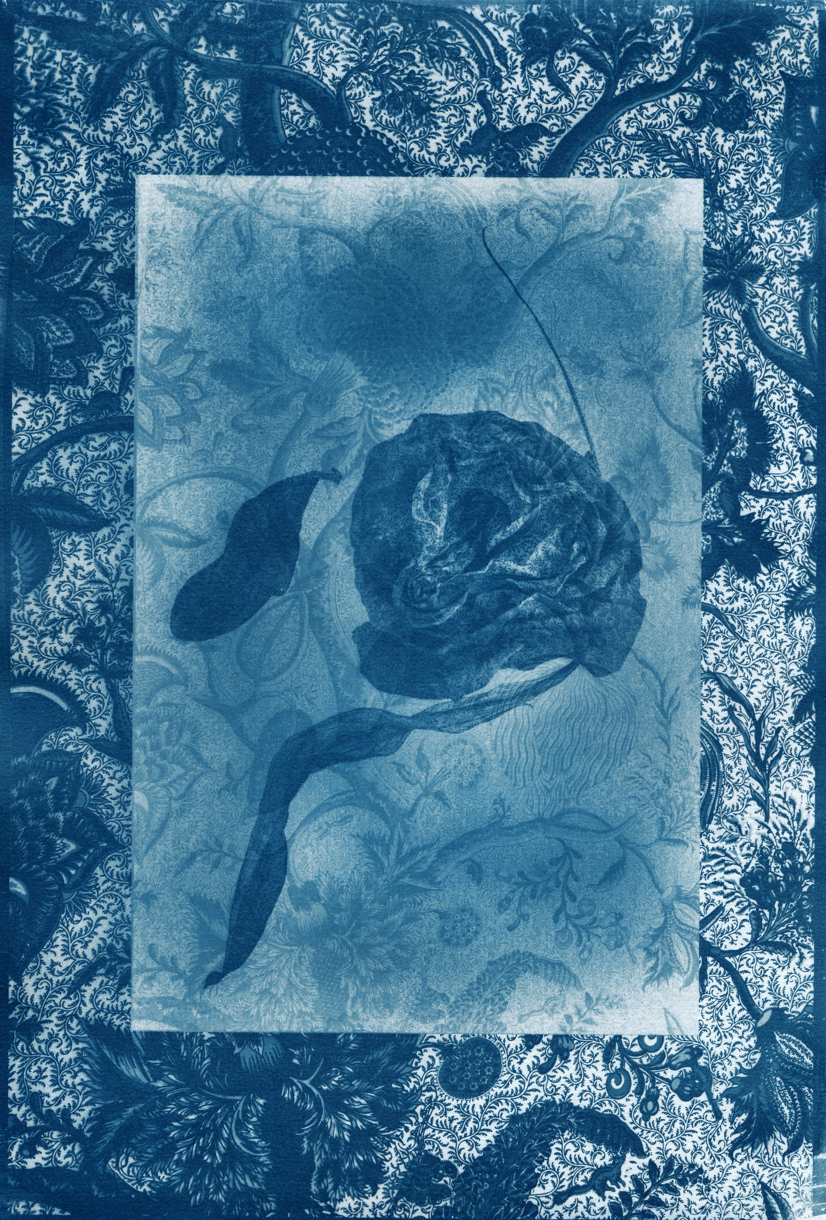 Cyanotype