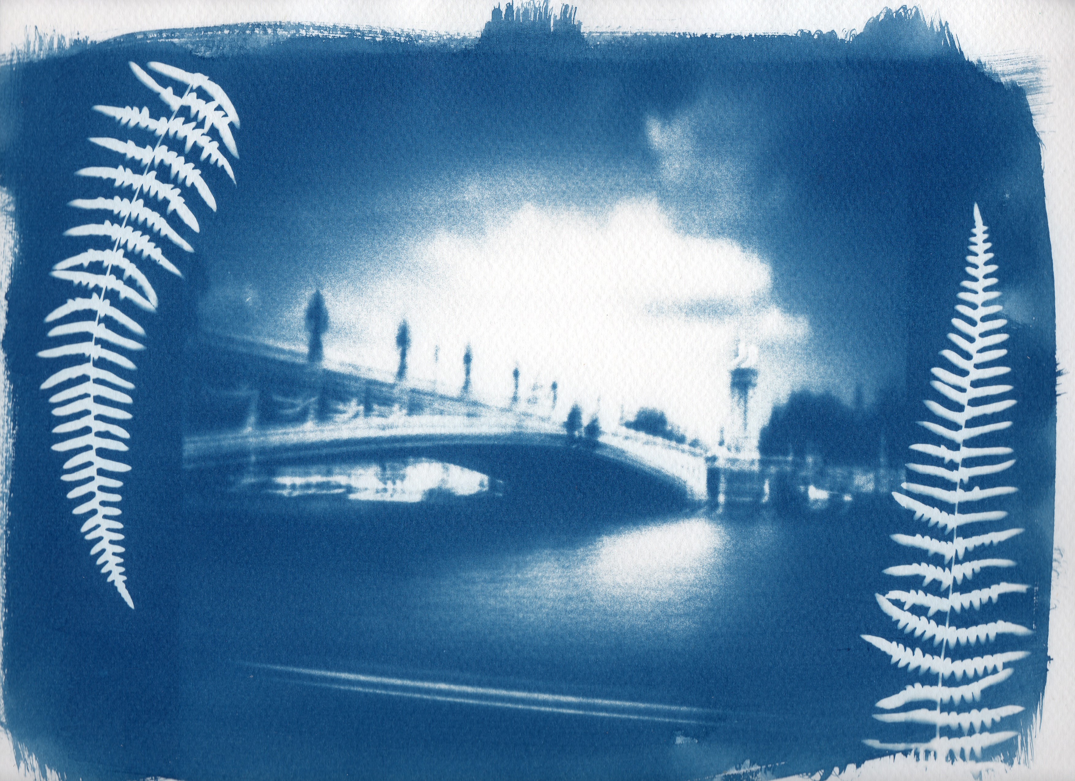 Cyanotype